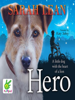 cover image of Hero